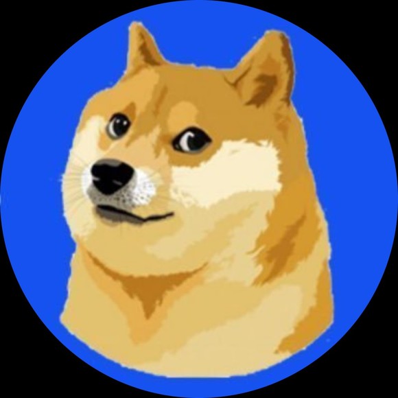 shuba_inu